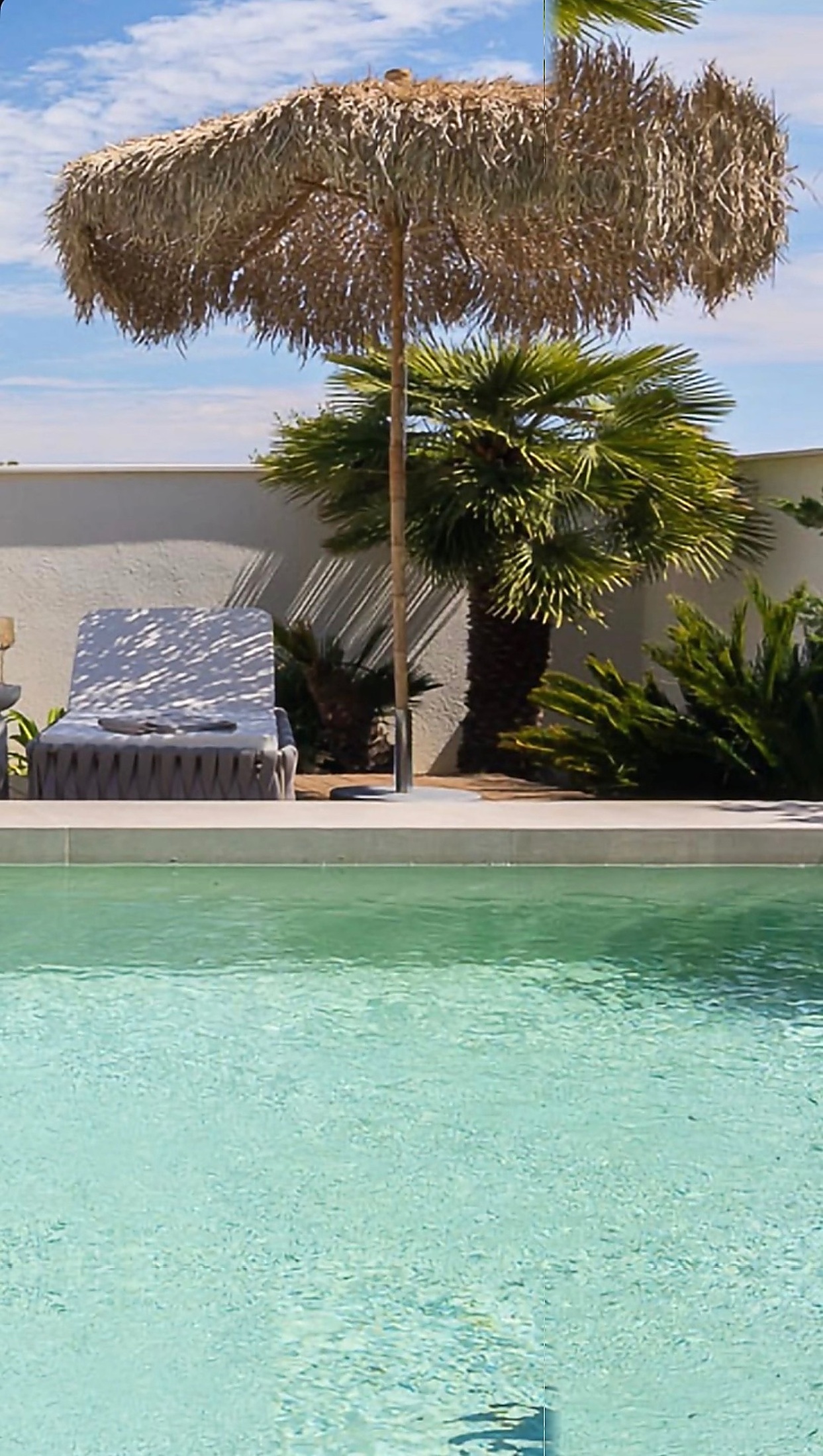 Pool with palm and palapa